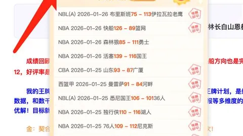 库利巴利三双神助，普尔19分约翰逊25分，篮网不敌奇才取胜